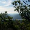 Linville Gorge Wilderness-294