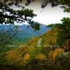 Skyline Drive, Shenandoah National Park-142