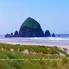 Haystack Rock-54